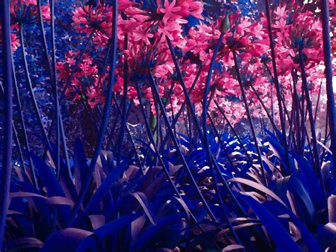Blue Jungle Painting By Simply Summery Fine Art America
