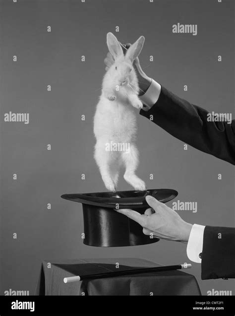 Magician Pulling Rabbit Out Hat Black And White Stock Photos And Images