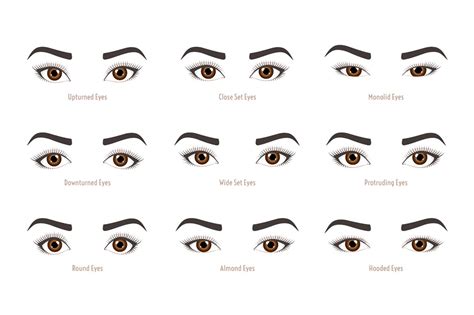 Types Of Woman Eyes Eye Shapes Illustrations ~ Creative Market