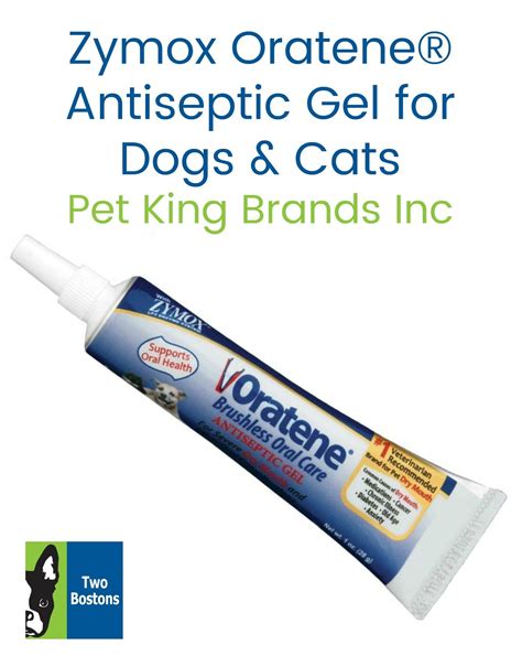 How To Treat Gingivitis In Cats