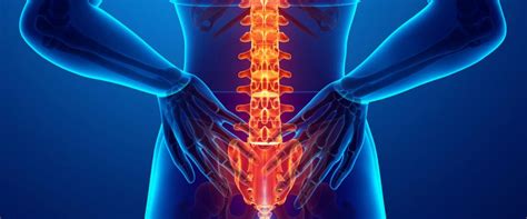 Check spelling or type a new query. Back pain | The Chartered Society of Physiotherapy