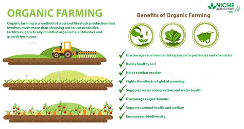Introduction To Organic Farming