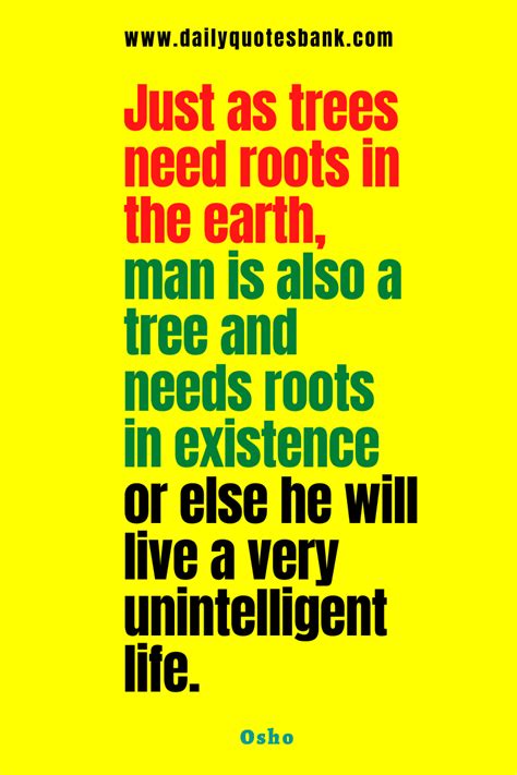 101 Roots Quotes That Will Help Always Remember Your Roots