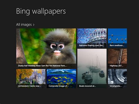 Free Download Bing Wallaper For Windows8 550x413 For Your Desktop