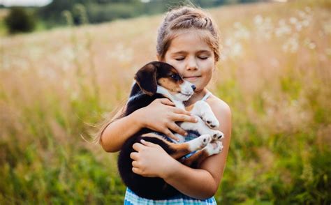 Portugal es el lugar de vacaciones perfecto si viajas con mascotas, dado que muchos de los alquileres el carácter de su gente, su arquitectura, su cultura y su naturaleza te sorprenderán. Mascotas: Beneficios en niños que crecen con animales en casa