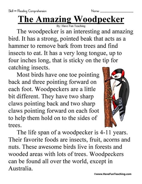 The Amazing Woodpecker Reading Comprehension Worksheets Worksheetscity