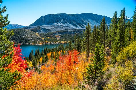 Sony A7rii Bishop California Fine Art Autumn Landscapes D Flickr