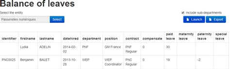 Page Leave Balance Report