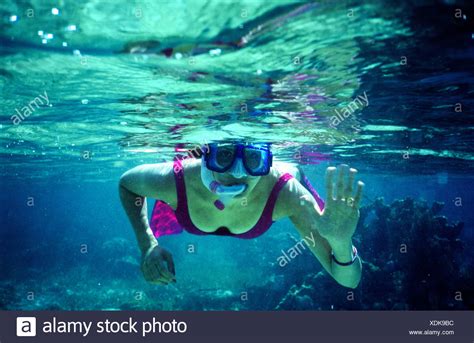Snorkeling Belize High Resolution Stock Photography And Images Alamy