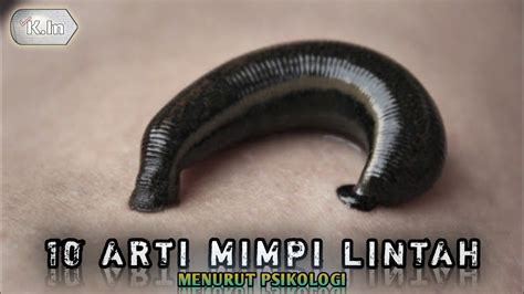 arti mimpi lintah