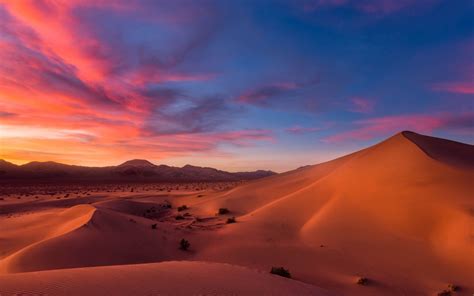 Desert Sunset Wallpapers 4k Hd Desert Sunset Backgrounds On Wallpaperbat