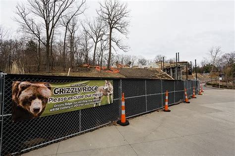 Be Sure To See The Grizzly Ridge Exhibit Coming To The Akron Zoo