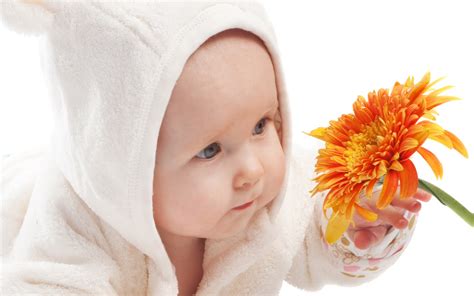 Hd Photography Wallpapers Cute Baby Girl With Red Flowers Hd