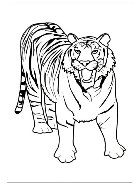 Free Tiger Coloring Pages Ideas For Preschool Preschool Crafts
