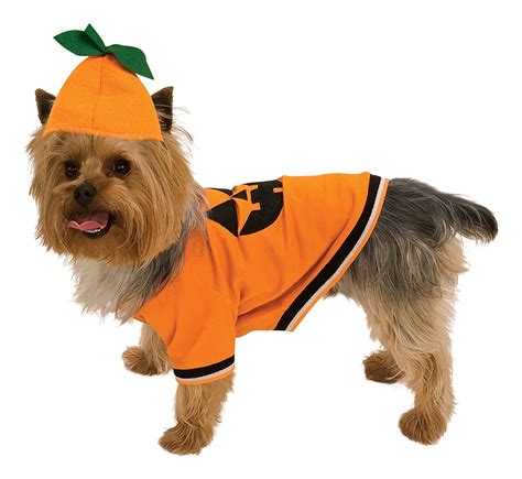 Pumpkin Dog Pet Costumes Chihuahua Kingdom