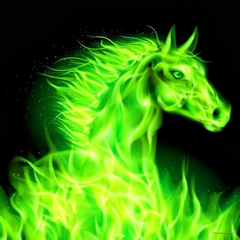 59600 animal hd wallpapers and background images. 77+ Cool Animal Backgrounds on WallpaperSafari