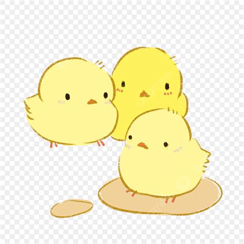 Yellow Chick White Transparent Cute Yellow Chick Pattern Chick