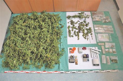 Check spelling or type a new query. Cannabis im Garten und im Wohnzimmer angebaut - Kitzbühel