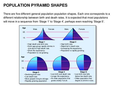 Year 7 Geography Population Pyramids