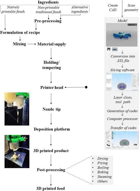 Schematic Flow Diagram Of A Typical Extrusion Based Food 3d Printing
