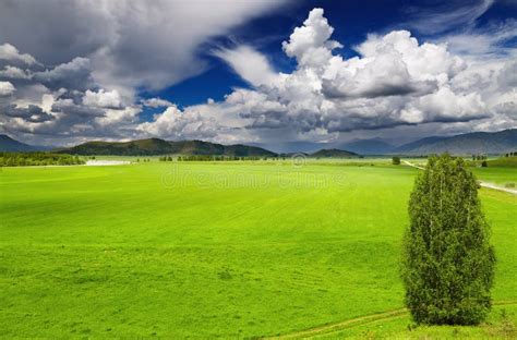 Green Valley Stock Image Image Of Beautiful Highlands 5338311