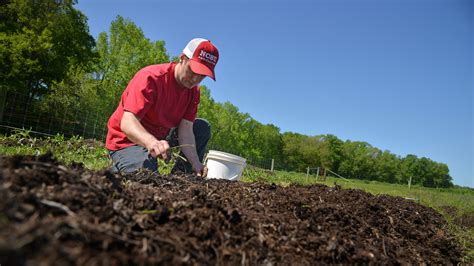 When you prepare a dinner for your family you try to include all the nutrients they need to stay healthy. How to Test Your Garden Soil | Homegrown | NC State University