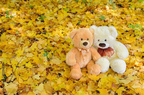 Two Teddy Bears Sitting In The Autumn Leaves Buy This Stock Photo And