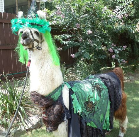 A Llama With Green Hair Wearing A Costume