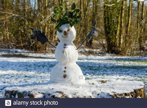 Cute Snowman Made Of Three Snowballs With Leaves For Hair Twigs For