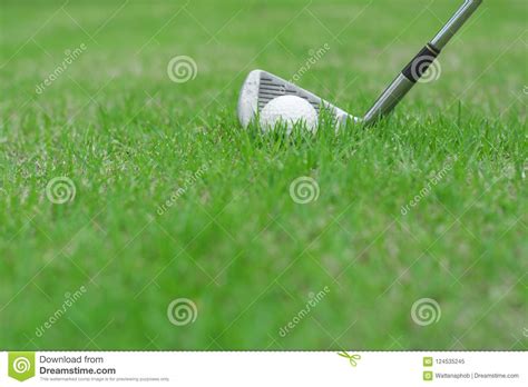 Golf Ball On Green Grass In Golf Course Stock Image Image Of