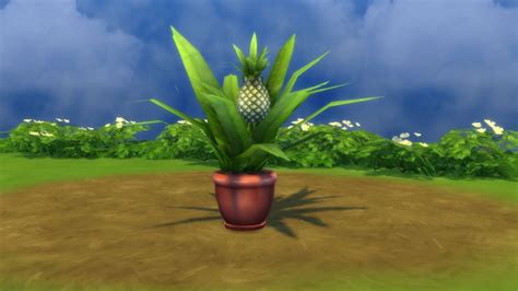 Aloha Pineapples By Snowhaze At Mod The Sims Sims 4 Updates