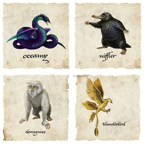 Pin By Morgane Weasley On Fantastic Beasts Fantastic Beasts