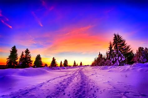 Winter Sunset Wallpaper And Background Image 1912x1268