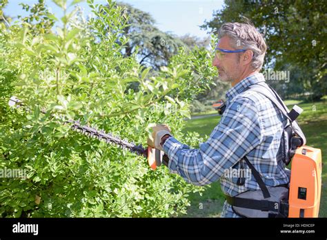 Hedge Cutter Hi Res Stock Photography And Images Alamy