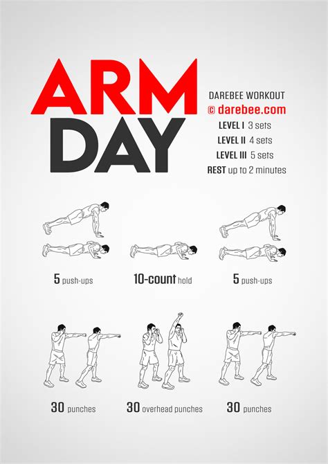 Exercises For Arms For Women