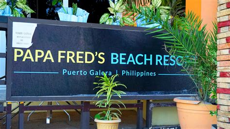 Papa Freds Beach Resort Inc Travel Oriental Mindoro