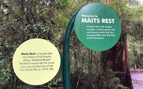 Maits Rest Otway Ranges