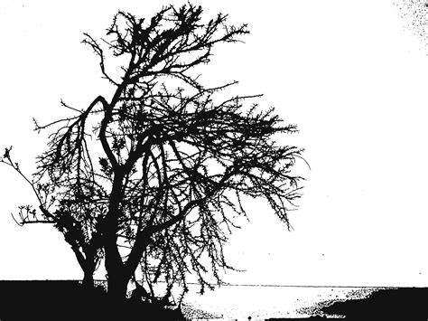 Black and white compound bow, digital art, illustration, sunset, city. Black And White Sunset Drawing at GetDrawings | Free download