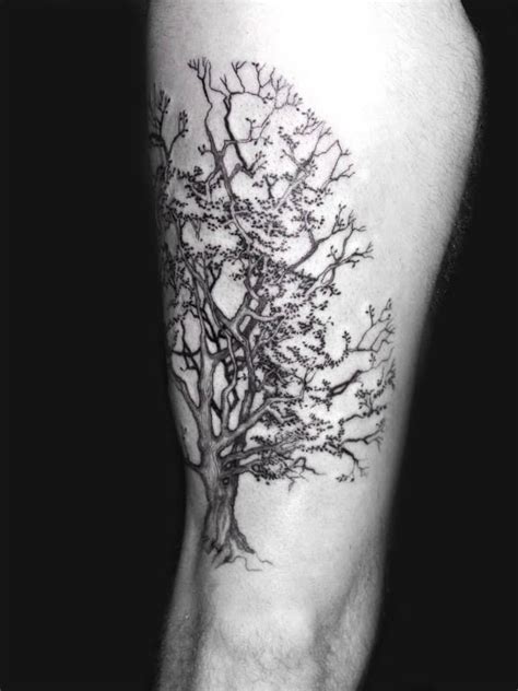 Beautiful Tree Tattoos Part 2 Oak Tree Tattoo Designs Oak Tree