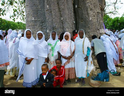 Woman At Festival Of Mariam Dearit In Front Of The Baobab Keren