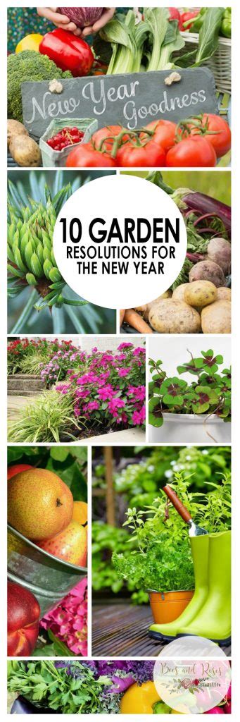 10 Garden Resolutions For The New Year Bees And Roses