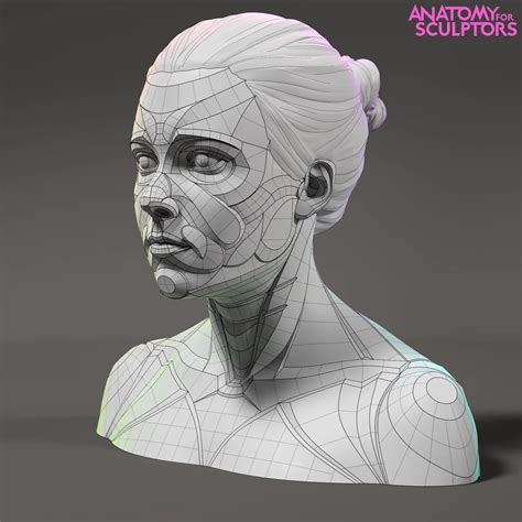 Artstation Young Woman Model Anatomy For Sculptors