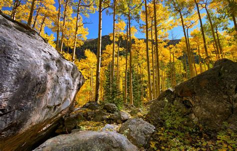 Wallpaper Autumn Forest The Sky Trees Mountains Stones Rocks