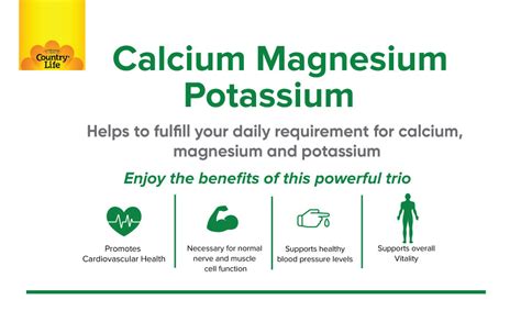 Country Life Target Mins Calcium Magnésium Potassium 500mg500mg99mg