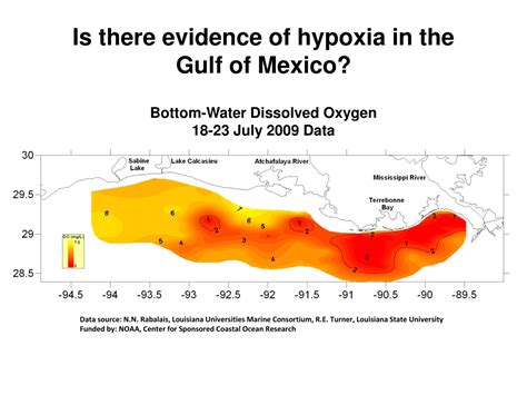 Ppt The Gulf Of Mexicos Dead Zone Powerpoint Presentation Free