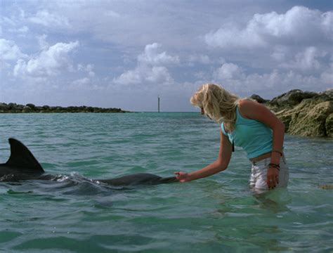 Eye Of The Dolphin Carly Schroeder Image 23859762 Fanpop