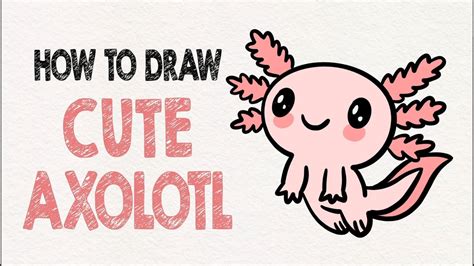 How To Draw Axolotl Step By Step Easy Youtube