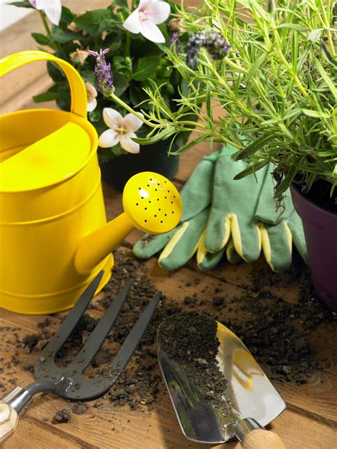 Watering Your Plants With Watering Can Gardening Supplies Garden Plants