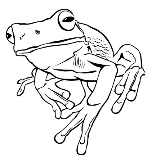 Realistic Frog Coloring Page Free Printable Coloring Pages