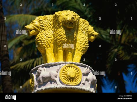 Ashoka Lion Sculpture Of Four Asiatic Lions Standing Back To Back